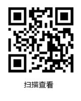 国傲电子